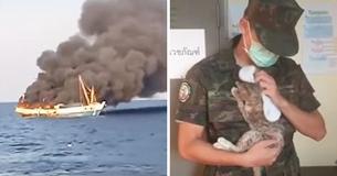 Navy Officer Jumps Into Sea And Swims To Rescue Four Cats From A Rapidly Sinking Ship