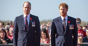 Prince William und Harry vereinen sich, um die Diana-Statue zu enthüllen, da alle Augen auf ihre Beziehung gerichtet sind