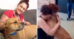 Woman Checks Shelter Adoption Site And Finds Her Dog Who Disappeared Two Years Prior