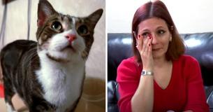 Heroic Foster Cat Saves Young Girl Struggling To Breathe In Her Sleep