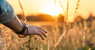 Twelve Sayings To Remember In Difficult Circumstances