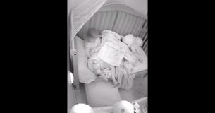 Vater lässt 45 Kilogramm schweren Pitbull mit Kleinkind in der Krippe schlafen und dieser Videoclip machte Schlagzeilen 