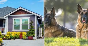Man Agrees To House-Sit Neighbor’s Home For Three Weeks — But They End Up Vanishing For Almost A Year