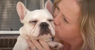 Therapy Dog Of Autistic Kids Returns Home After Being Stolen