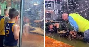 Brave Dad Rescues Trainer As Alligator Pulls Her Underwater At Kid's Birthday Party