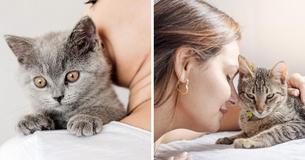 Woman Tells Partner To 'Leave My Apartment Right Now' After He Swears At Cat