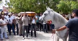 Un cheval en deuil sent le cercueil de son propriétaire adoré et s'effondre à ses funérailles
