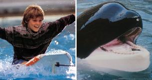 Jesse From ‘Free Willy’ Is All Grown Up Now And Still Working As An Actor