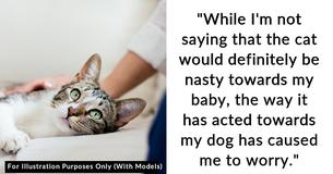 Wife Demands Husband Give Up His 18-Year-Old Cat Because It Is Aggressive