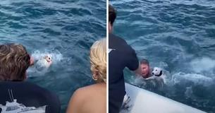 Boater Hailed A Hero After Jumping In To Save Tiny Terrier Stranded In Ocean