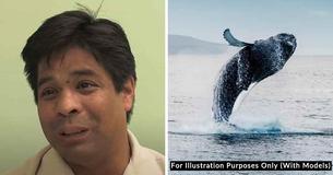 Divers Rescue Trapped Whale And It Gives Heartfelt ‘Thank You’