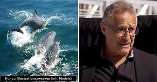 Hektische Delfine ziehen Aufmerksamkeit auf sich und führen Boot zu verängstigter Frau, die im Meer ums Überleben kämpft