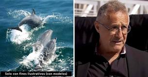 Delfines llamaron la atención de un marinero y lo llevaron hasta una mujer que estaba a punto de morir