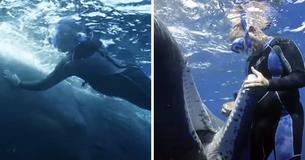 Sperm Whale Swims Up To Diver And 'Asks' To Be Rescued From Fishing Hook