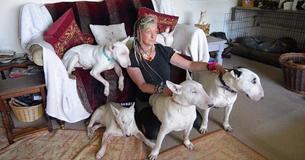 Wife Asked To Choose Between Her Husband Or Her Rescue Dogs Decides In Favor Of The Dogs