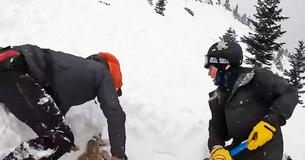 Dog Trapped In Avalance Is Rescued By College Students On Skiing Trip