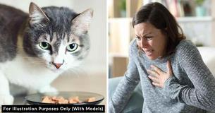 Stepdaughter Demands Cat Go Vegan Because Smell Of Cat Food Makes Her Sick