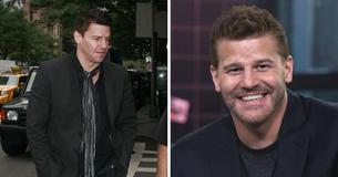 Jaime Bergman, Ehefrau des Schauspielers David Boreanaz, und ihre turbulente Beziehung