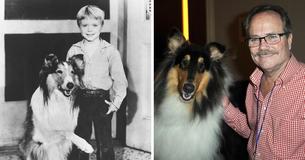 Jon Provost ‘Grew Up’ With ‘Lassie’ — 72-Year-Old Fondly Remembers His Time As Timmy