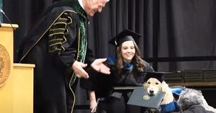 University Awards Service Dog His Own Degree Because He 'Pushed' His Owner Through Grad School