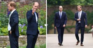 Prince William & Harry Put Bitter Feud Aside To Unveil Statue Of Princess Diana