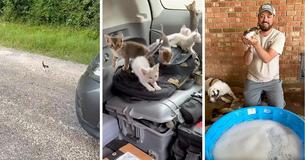 Man Praised As 'Hero' After Posting Viral Video Of Himself Saving 13 Kittens