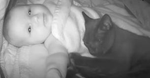 Mother Releases Adorable Babycam Video Showing Off Her Family’s ‘Baby And Cat Bond’