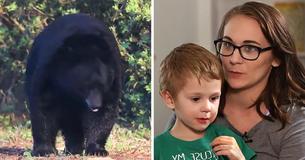 3 Jahre alter Junge behauptet, ein freundlicher Bär habe ihm während seines 3-tägigen Verschwindens Gesellschaft geleistet