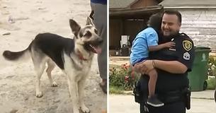 Young Boy Who Strayed From Family Home Alone Was Followed And Kept Safe By Pet Dog