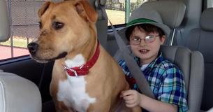 Rescue Dog Helps Autistic Child Find His Voice And Overcome Anxiety
