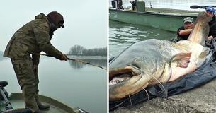 Fisherman Expects To Have Caught His Line On Tree Branch, Instead Finds Record Breaking Fish