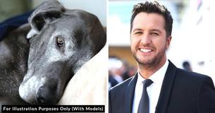 Luke Bryan Sees 18-Year-Old Dog Abandoned Because Of Allergies, Adopts Him Immediately
