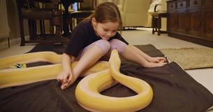 Amazed Dad Loves Filming His Daughter’s ‘Gentle’ Friendship With 15-Foot Pythons