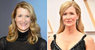 Laura Dern Married Hot Musician After Ex-Fiancé Billy Bob Thornton Married Angelina Jolie