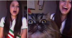 Singer Is 'Upstaged' By Her Own 'Diva' Cat And The Internet Loves It
