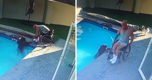 Uomo in sedia a rotelle salva un rottweiler di 50 chili in preda al panico che non riesce a uscire dalla piscina