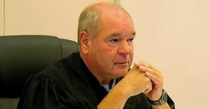 Judge Hands Out Unusual But Fitting Sentence To Woman Who Left 35 Kittens Alone In The Cold
