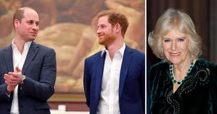 Prinz William und Harry "lieben" Camilla "bis aufs Blut", auch wenn sie nicht wollten, dass sie den Titel "Queen Consort" annimmt