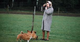 The Late Queen Elizabeth Owned 30 Descendants Of Her Favorite Corgi Susan