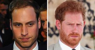 Die Söhne von König Charles hatten sich angeblich geweigert, Camilla "Königsgemahlin" zu nennen, da dieser Titel nur Diana zustand