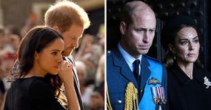 Prinz Harry wird dafür gelobt, dass er Meghan "besser" behandelt als Prinz William, der sich Kate gegenüber distanziert verhält