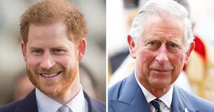 Prince Harry Looks Like Carbon Copy Of Young King Charles III