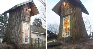 Artist Transforms 110-Year-Old Tree Into The Most Enchanting Free Library