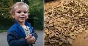 Toddler Shreds More Than $1000 In Cash That His Parents Saved To Pay Back A Debt