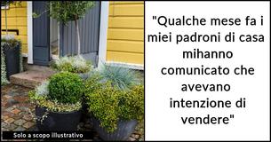 L'inquilino si trasferisce e si porta via le piante, facendo arrabbiare i proprietari e i potenziali acquirenti
