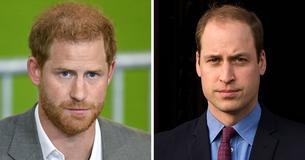 La hermanastra olvidada de los príncipes William y Harry dejó a los fans sin palabras