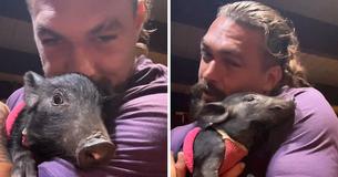 Jason Momoa Takes Wild Pig Home From Set And Wants To ‘Paint’ Its Nails Pink