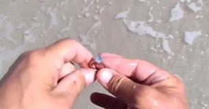 Kind-Hearted Man Returns $40,000 Diamond Ring He Randomly Finds On The Beach
