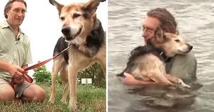 Owner Soothes 20-Year-Old Arthritic Senior Dog By Going Swimming In Lake Until He Falls Asleep