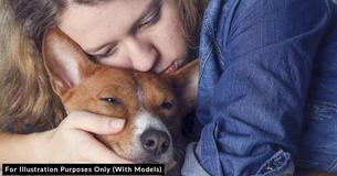 Rescuer Comforts Dying Homeless Dog During The Night So He Won't Pass Away Alone